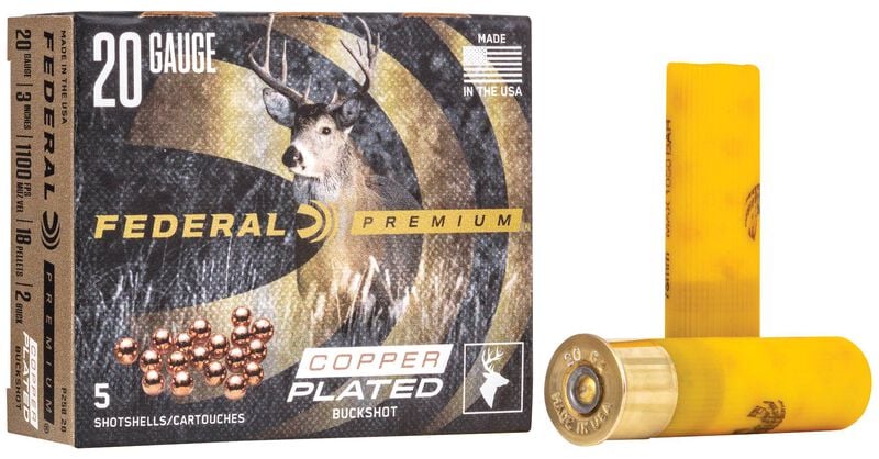 Buckshot, 20 Gauge, 2 Buck Shot, 3 in, 1100 fps 20 Gauge Ammo - 5 Shells of #2 Buck Shot Ammunition (P258 2B)