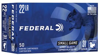 Small Game, 22 LR, 31 Grain, Copper Plated Hollow Point, 1430 fps