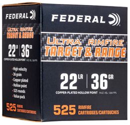 Champion Training - Rimfire