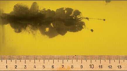 224 Ballistics Chart